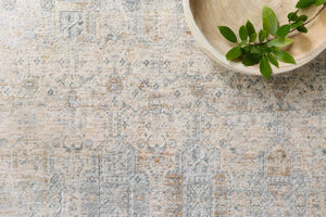 Pandora PAN-02 Ivory/Mist Rug