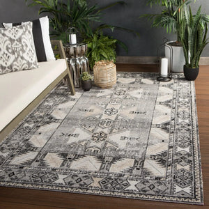 Polaris POL20 Paloma Gray/Beige Rug