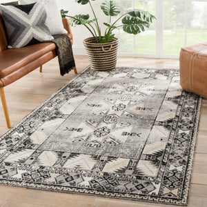Polaris POL20 Paloma Gray/Beige Rug