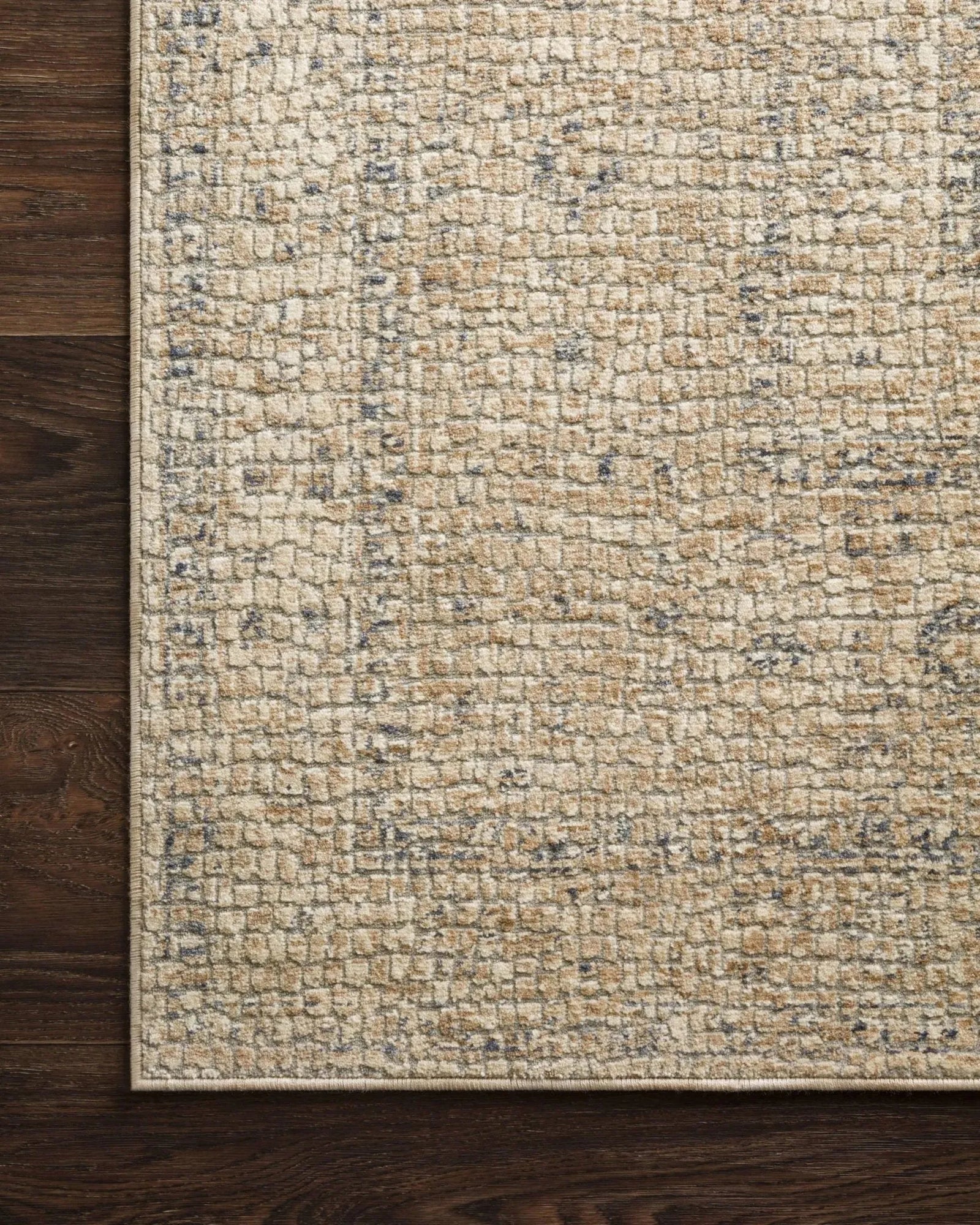Porcia PB 07 Beige / Beige Rug