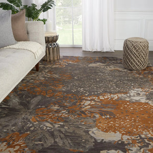 Reconnext By Jenny Jones Rjj08 Kimono Gray/Gold Rug