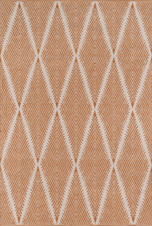River By Erin Gates Riv-1 Beacon Orange Rugs