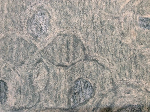 Serenity 1257 Ashley Seafoam Rug