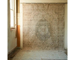 Someplace In Time SPT11 Light Taupe/Grey Rug