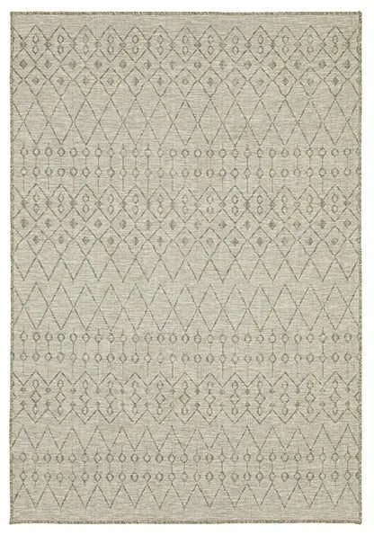 Tortuga TR04A Beige Rug