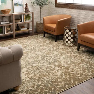 Touchstone Le Jardin Hazelnut by Patina Vie 91231 80174 Rug