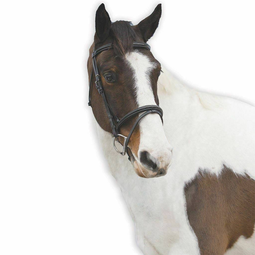 Loveson Elegance Bridle - Brown R6_C8LYW0ZL