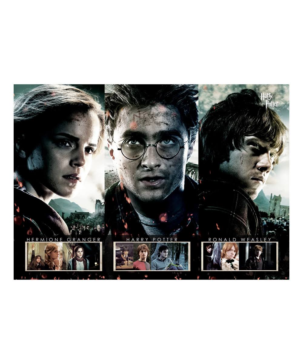 Harry Potter Beginning to End MightyPrint Wall Art Print IS_CEX57YN0