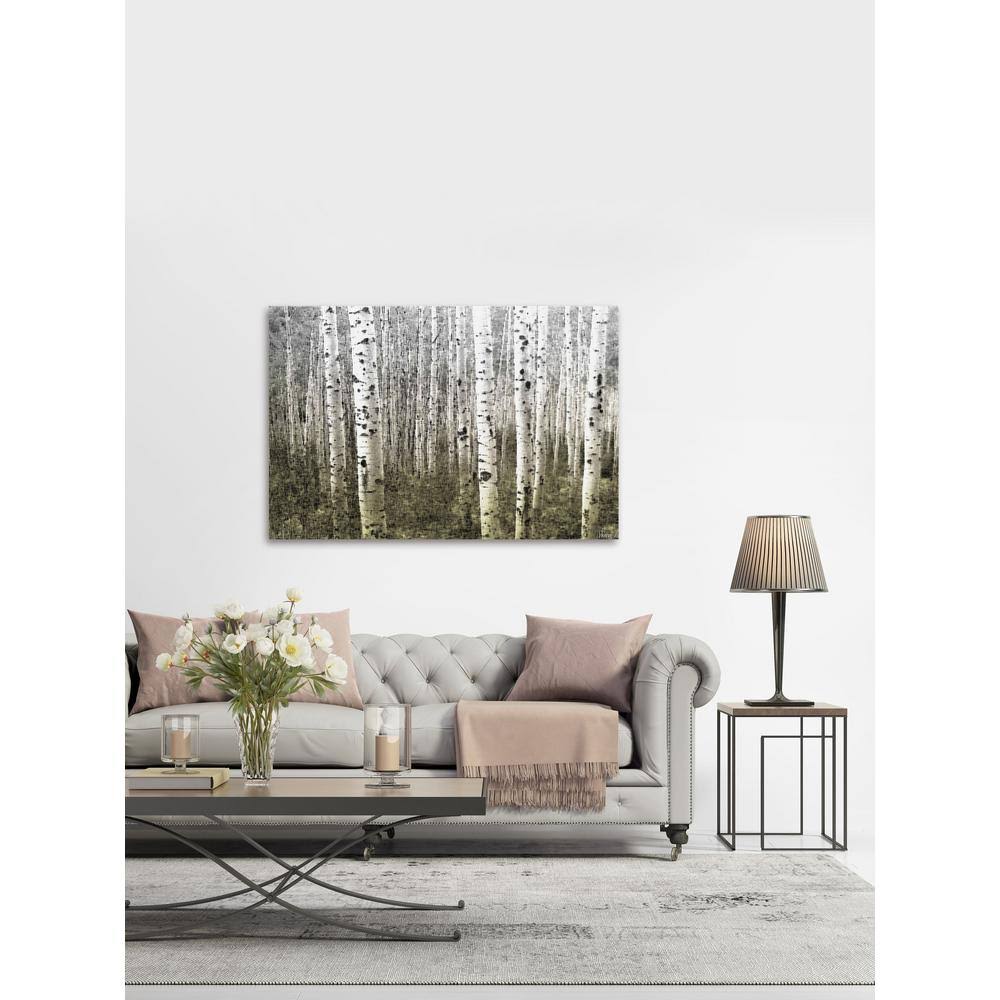 Parvez Michel 30 in. H x 45 in. W Aspen Highlands by Parvez Taj Printed Canvas Wall Art, Multi-Colored CG_PF5NH7V1
