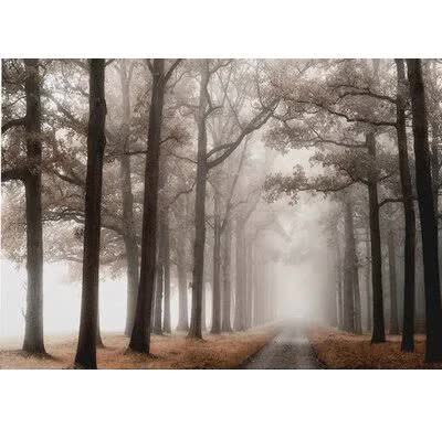 Misty Road' - Wrapped Canvas Painting Print Andover Mills Size: 24 BS_VRNYMH91