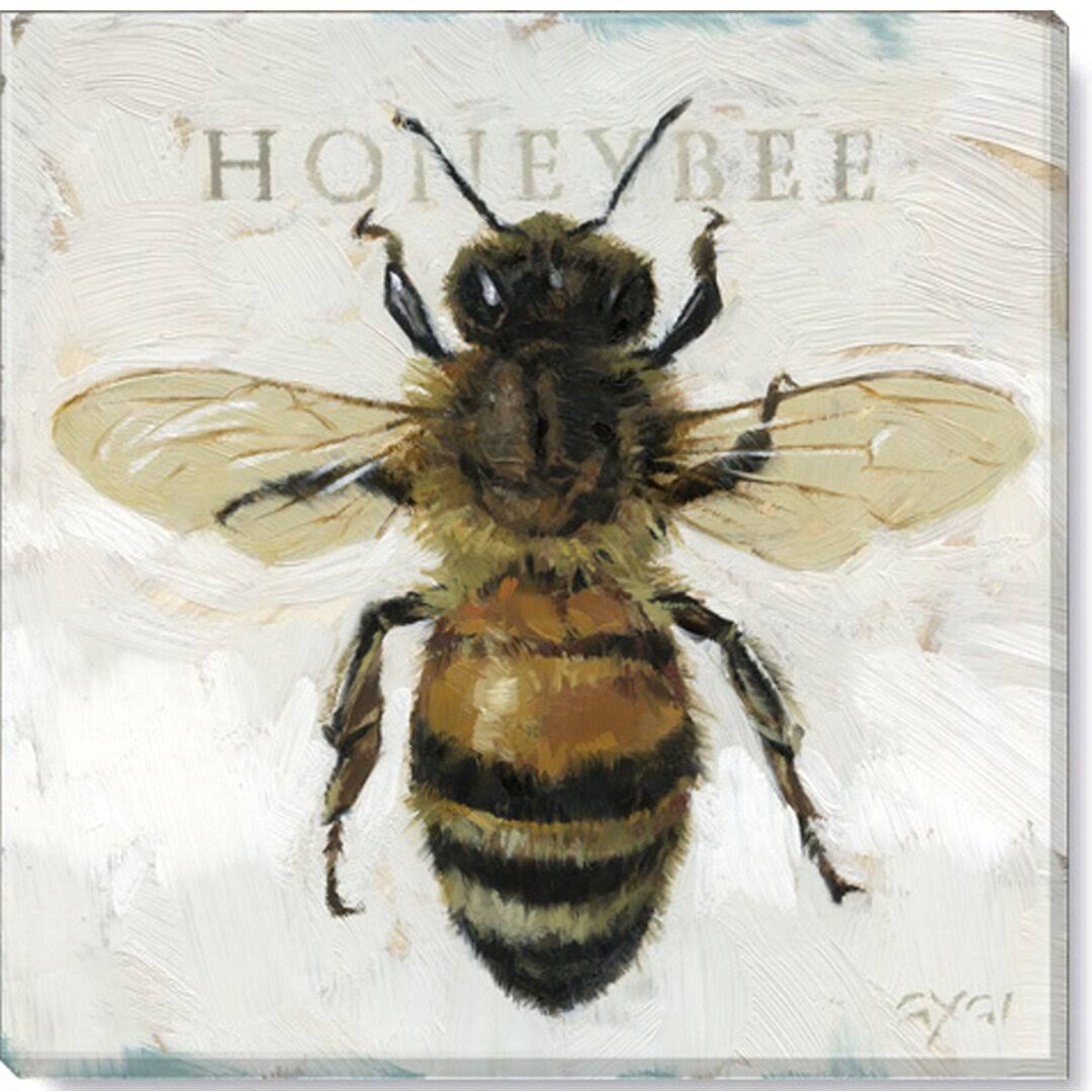 Darren Gygi Gallery Wrapped Honeybee Canvas, KU_REOJRZCK