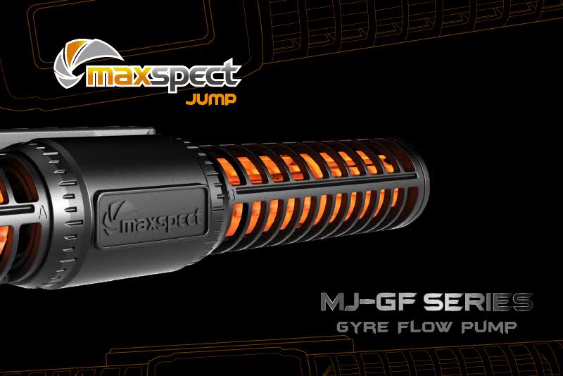 Maxspect Jump Gyre 2k FU_M2JJUAY9